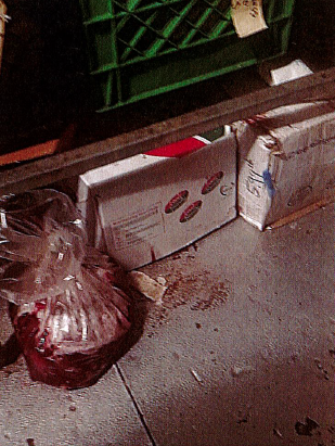 Food on the floor